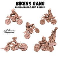 Bikers gang