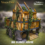 Grande maison en ruine 1 de Vanos Dyr