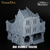 Grande maison en ruine 1 de Vanos Dyr
