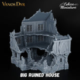 Grande maison en ruine 1 de Vanos Dyr