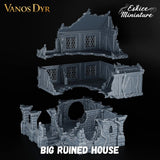Grande maison en ruine 1 de Vanos Dyr