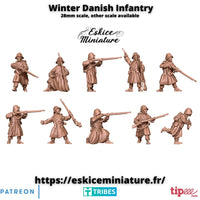 Soldats Danois série 1