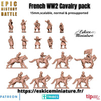 Pack cavalerie - FR