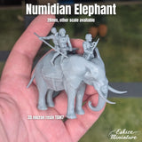 Numide sur Eléphants x3