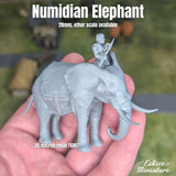 Numide sur Eléphants x3