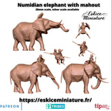 Numide sur Eléphants x3