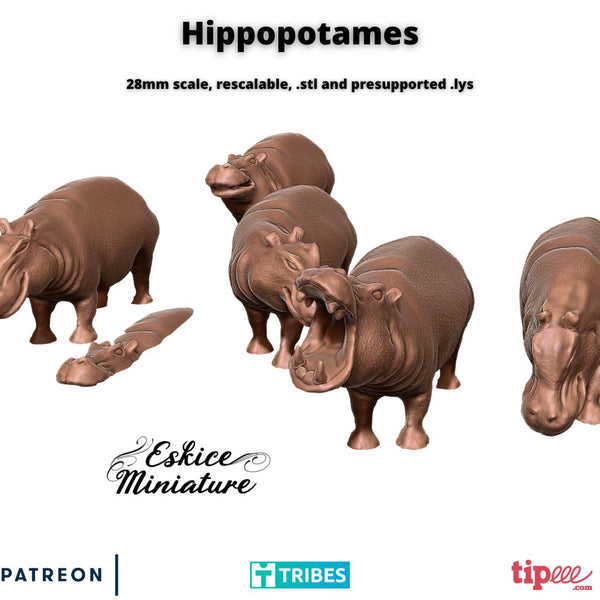 Hippopotames x6