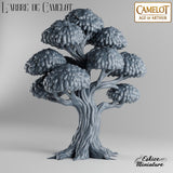 Les Maisons de Camelot