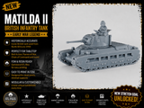Armée Anglaise Front Ouest fin de guerre