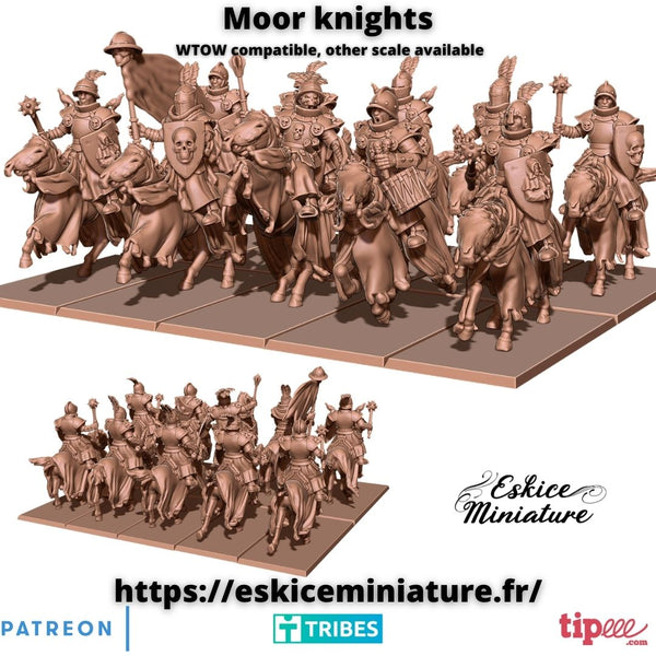 Chevaliers de Morr, régiment x10