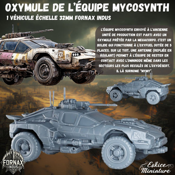 Mymy, l'oxymule de Mycosynth Farm