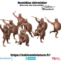 Escarmoucheurs Numides