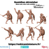 Escarmoucheurs Numides