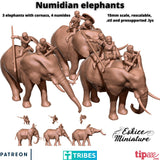 Numides sur éléphants - 15mm EHB