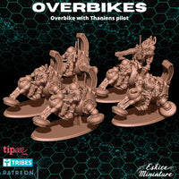 Overbikes thaniennes (5)