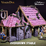 La nouvelle écurie de Vanos Dyr