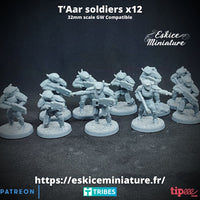 Soldats T'Aar pack x12