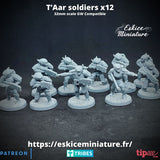 Soldats T'Aar pack x12