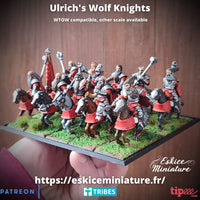 Chevaliers d'Ulrich x10