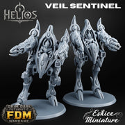 Veil Sentinel
