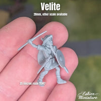 Vélites x8