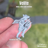 Vélites x8