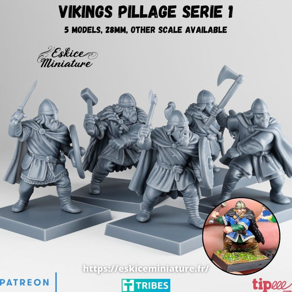 Vikings pillage serie 1 (x5)