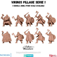 Vikings pillage serie 1 (x5)