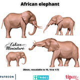 Elephants x4