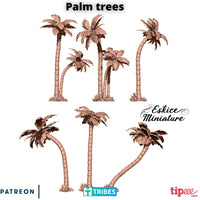 Palmiers x6