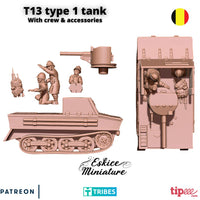T13 Type 1 Belge